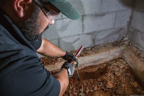 Test For Mold & Toxic Material. . Termite inspection near me